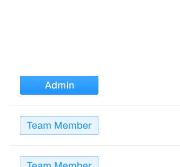 Role buttons for Admin and Team Member access levels
